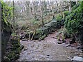 Stream at St Nectan