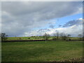 Grass field near Easthill Farm