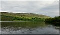 NH3809 : Loch Ness by Lauren