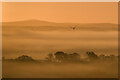 SX4091 : Early morning mist by Ian Capper