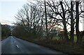 Straight Road, Horkesley Heath