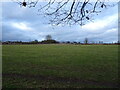 SO8494 : Church Lane Field by Gordon Griffiths