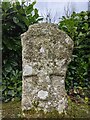 SX1073 : Old Wayside Cross in Blisland churchyard by L Nott