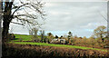 Lodges near Buckyette Farm