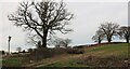 Field by Chesham Road, Heath End