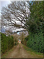 Bridleway north-west of Seisdon in Staffordshire