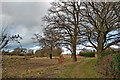 Farmland and bridleway near Seisdon in Staffordshire