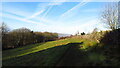 Field path running NW towards Mount Pleasant Farm, Matlock