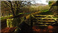 Field path at Tinkersley leading towards Copy Wood