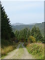 NN2905 : Path along Glen Loin by Matthew Chadwick
