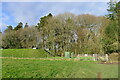 Bridleway entrance to Southleigh Wood