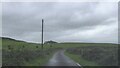 Minor road at Carskiey, Kintyre