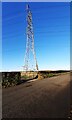 Electricity pylon in field on NW side road near High Knells