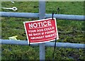 NS5589 : Warning to dog owners by Richard Sutcliffe