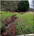 Brook south of the B4233, Hendre, Monmouthshire