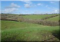 View towards Lowerkings Hill Copse