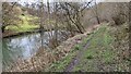 Footpath by the River Teme (Downton)