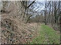 Path at Downton Gorge