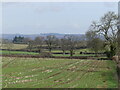 Field of stubble, with footpath by the hedge on the right, St Briavels