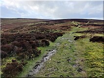 SO4395 : Path across the moorland on the Long Mynd by Mat Fascione