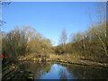 The northern end of the watered section of the Nottingham Canal