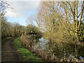 The Nottingham Canal at Cossall Common