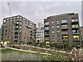 Flats along Mill Park