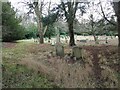 St Peter, Knowl Hill: churchyard