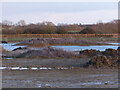 TL4166 : Northstowe wetland by Hugh Venables