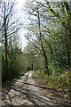 TQ8435 : Lane towards Bishopden Farm by Robin Webster