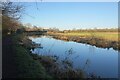 Trent & Mersey Canal towards Bridge #103