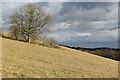 North Downs scarp slope above Kemsing