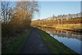 Trent & Mersey canal towards bridge #108