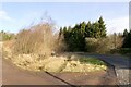 Road to Abernethy, Glentarkie