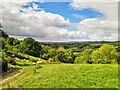 View from road to Martley