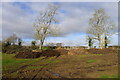 Stall waste on Trendle Hill