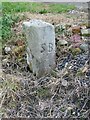 Old Boundary Marker in Stoodley Glen, Calderdale