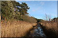 Path inland of Holkham Meals