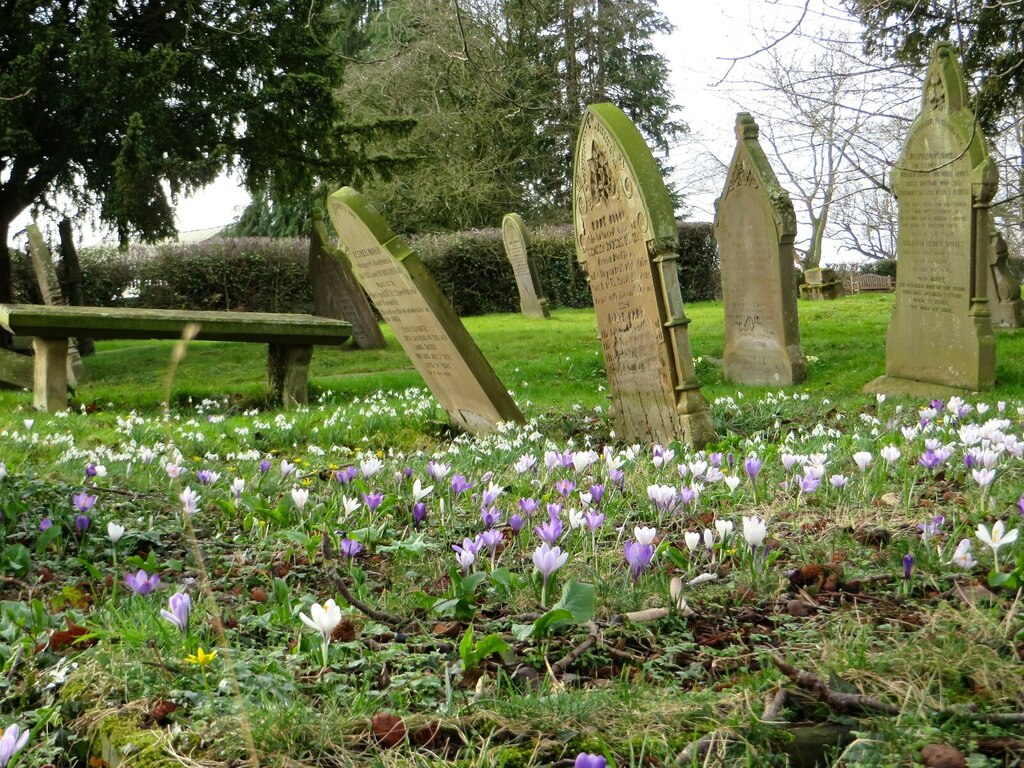 The promise of spring in Isycoed... © Mike Parker cc-by-sa/2.0 ...