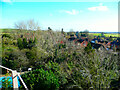 View from the balcony of the windmill, Quainton