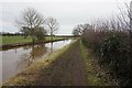 Trent & Mersey canal towards bridge #144