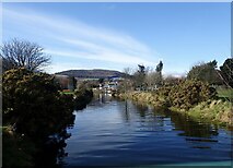 J3731 : The Tullybranigan River in Islands Park by Eric Jones