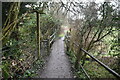 Footbridge, River Eden