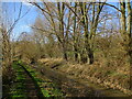 Footpath by the River Greet at Kirklington