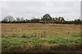 Field by Bull Lane, Duddenhoe End