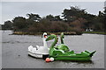 Boating pond  in Mewsbrook Park