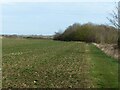 Bridleway near Ixworth