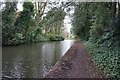 Bridgewater canal towards Walton Bridge