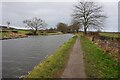 Bridgewater canal towards Moorefield Bridge