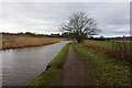 Bridgewater canal towards George Cleave